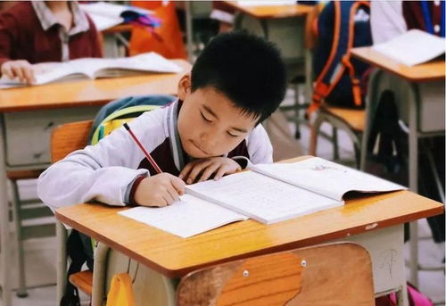 江蘇全面啟動課后服務與家庭教育咨詢，為家長減負解憂