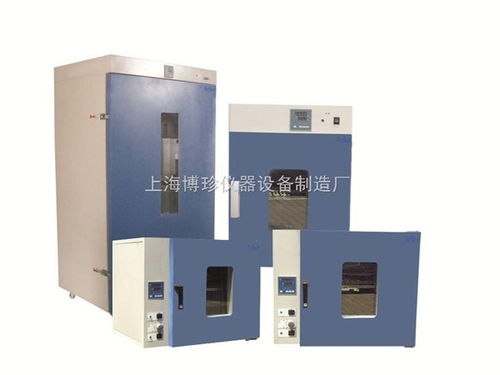 DHG-9240A立式250度鼓風干燥箱 通用設備制造中的全能老化與烘烤專家